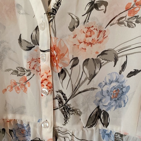 Sheer High-Low blouse - Picture 2 of 5